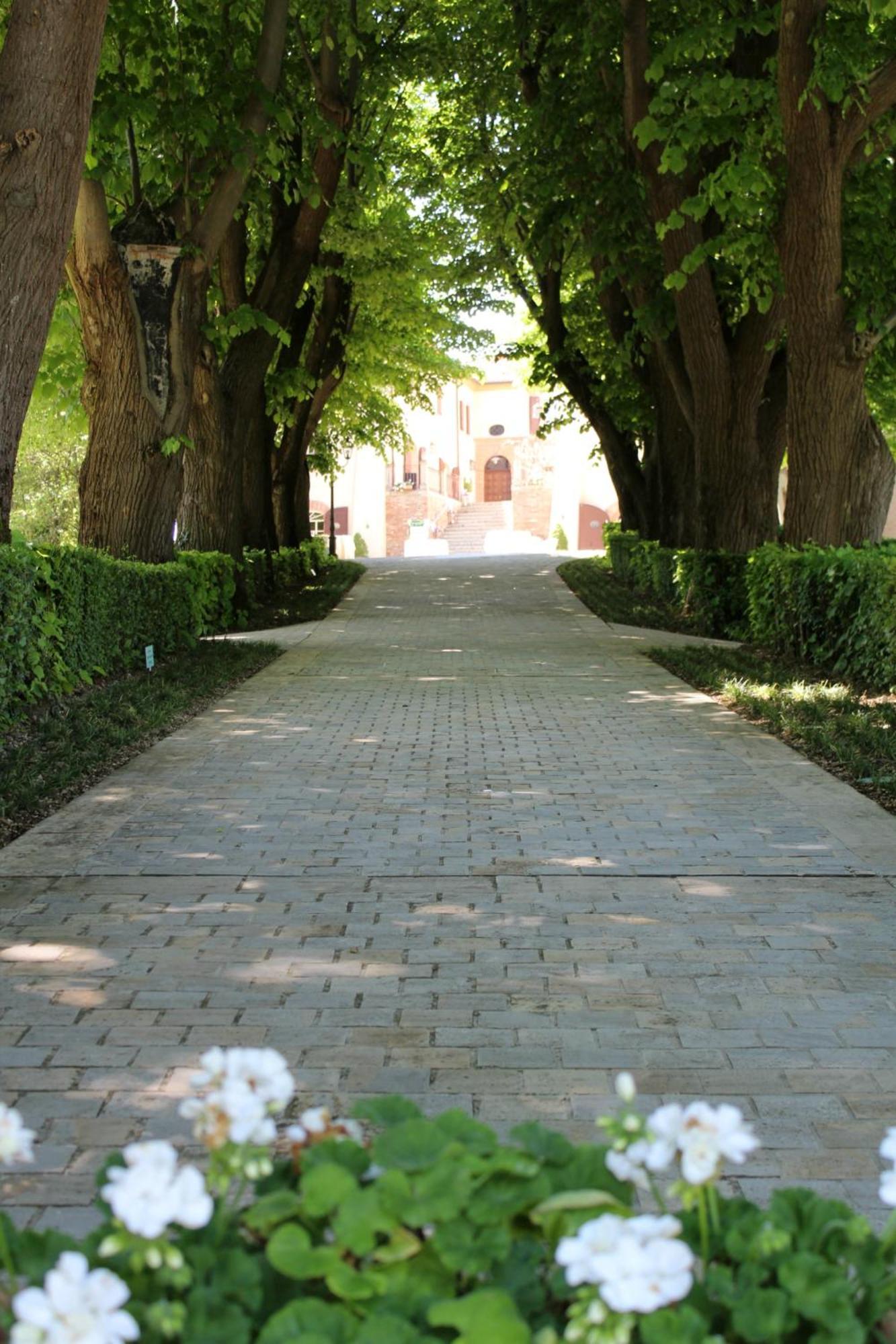 Bed and Breakfast Palazzo Del Poggiano à Poggio Berni Extérieur photo